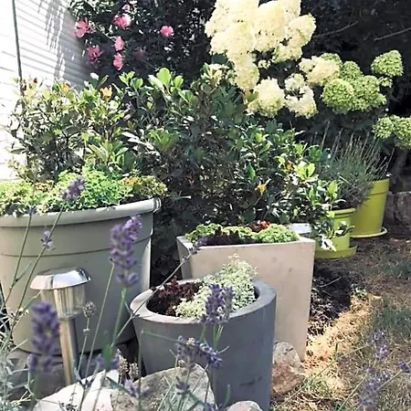 D'hotes Les Foulons Bed and Breakfast 3*